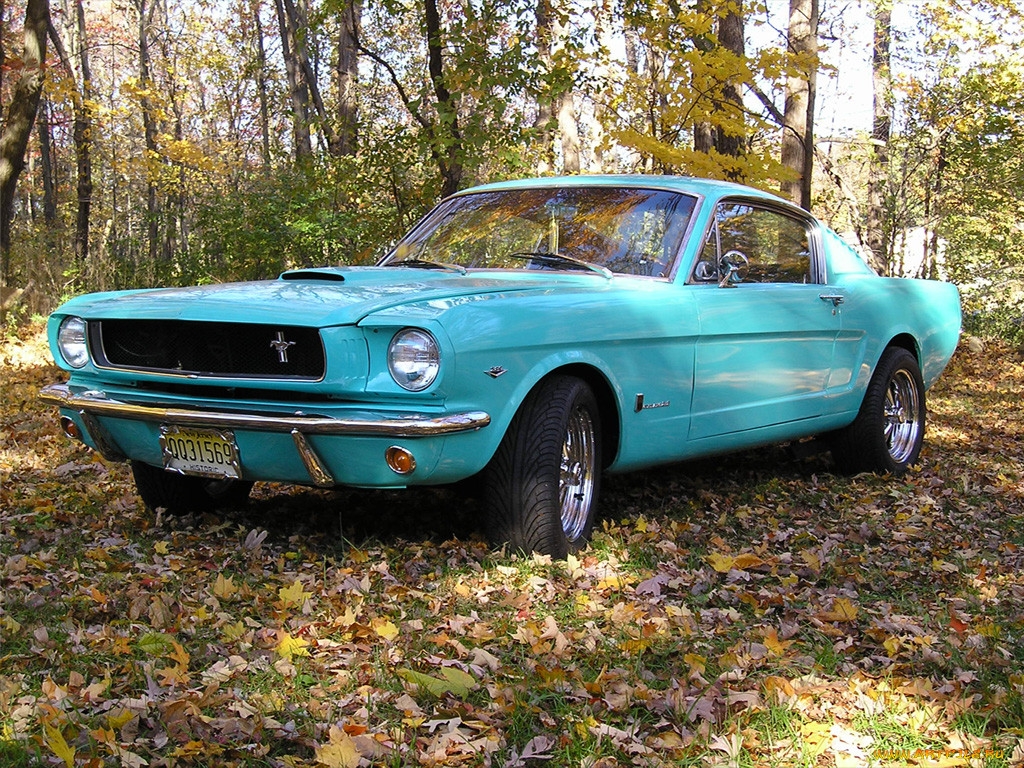 , ford